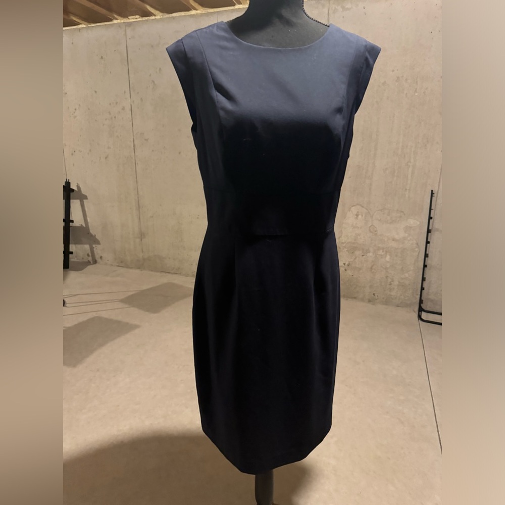 Limited dress navy blue petite 10